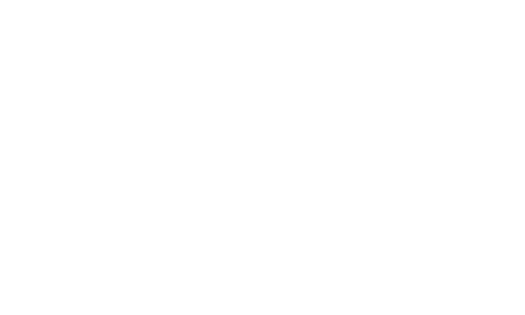 Big Joe Forklifts Australia